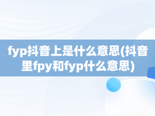 fyp抖音上是什么意思(抖音里fpy和fyp什么意思)