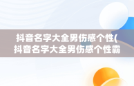 抖音名字大全男伤感个性(抖音名字大全男伤感个性霸气)