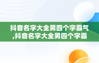 抖音名字大全男四个字霸气,抖音名字大全男四个字霸气英文