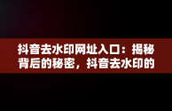 抖音去水印网址入口：揭秘背后的秘密，抖音去水印的软件叫什么 