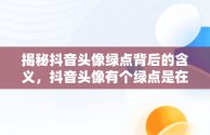 揭秘抖音头像绿点背后的含义，抖音头像有个绿点是在和别人聊天吗? 