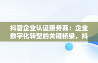 抖音企业认证服务商：企业数字化转型的关键桥梁，抖音企业认证服务商返点 