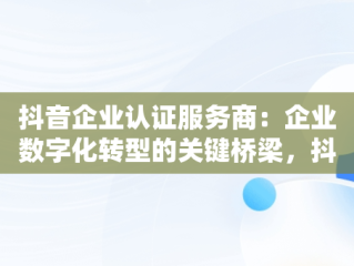 抖音企业认证服务商：企业数字化转型的关键桥梁，抖音企业认证服务商返点 