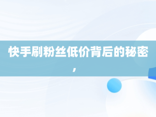 快手刷粉丝低价背后的秘密， 