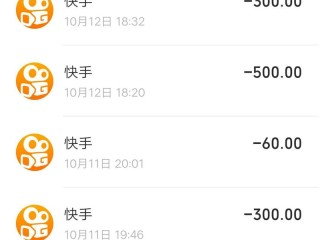 快手网页版充值,快手网页充值微信支付接口