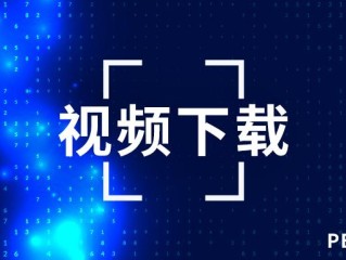 抖音视频网页版无水印下载,抖音视频网页版无水印下载安装