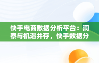 快手电商数据分析平台：洞察与机遇并存，快手数据分析用什么软件 