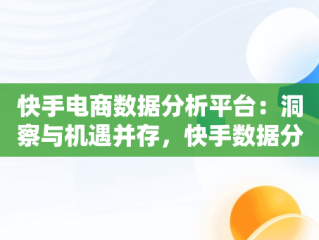 快手电商数据分析平台：洞察与机遇并存，快手数据分析用什么软件 