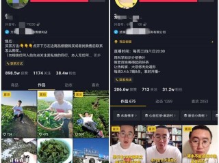 抖音直播卖什么最赚钱(抖音直播卖什么货最挣钱)