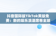 抖音国际版TikTok黄版免费：新的娱乐浪潮席卷全球，抖音国际版黄版在线 