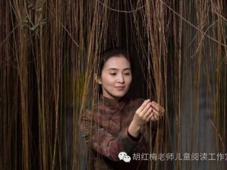 网红局长陆朝晖的简单介绍
