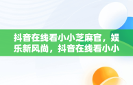 抖音在线看小小芝麻官，娱乐新风尚，抖音在线看小小芝麻官电视剧 