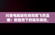 抖音电脑版在线观看飞燕直播：新趋势下的娱乐体验，抖音电脑在线观看怎么进直播间 