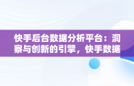 快手后台数据分析平台：洞察与创新的引擎，快手数据分析怎么看 