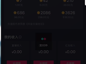 抖音充值入口官网(苹果手机抖音充值入口官网)