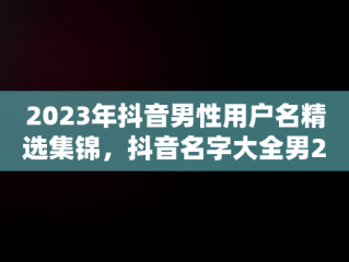 2023年抖音男性用户名精选集锦，抖音名字大全男2024龙年取名 