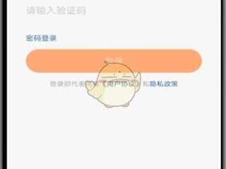 快手极速版怎么不显示红包圈了苹果版,快手极速版怎么不显示红包圈了苹果手机