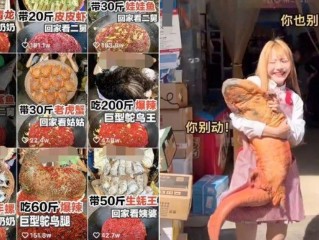 包含网红提子吃鲨鱼为什么不抓的词条