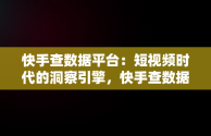 快手查数据平台：短视频时代的洞察引擎，快手查数据平台是什么 