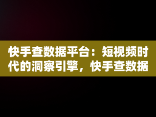快手查数据平台：短视频时代的洞察引擎，快手查数据平台是什么 