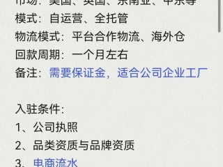跨境电商平台需要哪些资质,跨境电商需要注册什么类型的公司