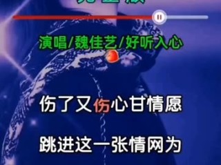 最火的歌曲2025(最火的歌曲火爆全网2024年)