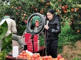 怎么联系到带货主播合作,如何联系带货主播合作