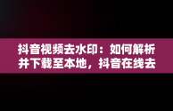 抖音视频去水印：如何解析并下载至本地，抖音在线去水印视频解析保存到本地 