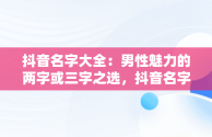 抖音名字大全：男性魅力的两字或三字之选，抖音名字男生简单气质二个字 