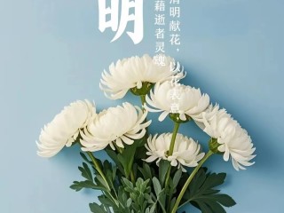 清明节最火的一句古诗,清明节最火的一句