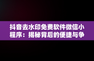 抖音去水印免费软件微信小程序：揭秘背后的便捷与争议，抖音去水印免费软件微信小程序叫什么 