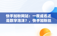 快手加粉网站：一夜成名还是数字泡沫？，快手加粉丝手机版 