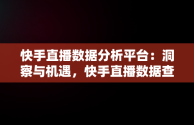 快手直播数据分析平台：洞察与机遇，快手直播数据查询工具 