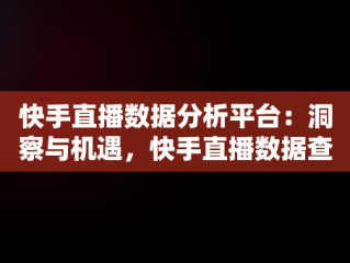 快手直播数据分析平台：洞察与机遇，快手直播数据查询工具 