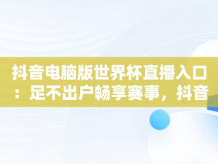 抖音电脑版世界杯直播入口：足不出户畅享赛事，抖音电脑版怎么看直播 