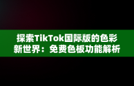 探索TikTok国际版的色彩新世界：免费色板功能解析，成品短视频软件大全下载手机版 