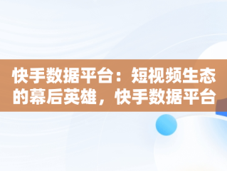 快手数据平台：短视频生态的幕后英雄，快手数据平台部加班 