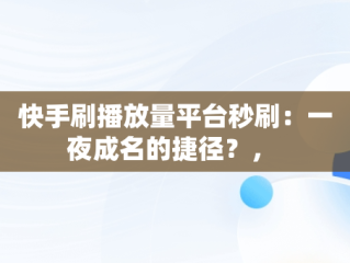 快手刷播放量平台秒刷：一夜成名的捷径？， 