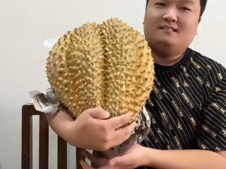 网红小胖被杀事件,网红小胖被杀事件始末