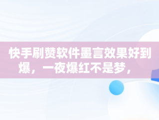 快手刷赞软件墨言效果好到爆，一夜爆红不是梦， 
