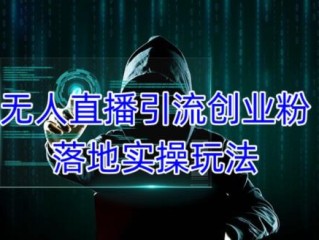 无人直播效果怎么样,无人直播游戏攻略
