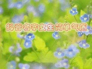 抖音名称.昵称女简单大气不撞款的简单介绍