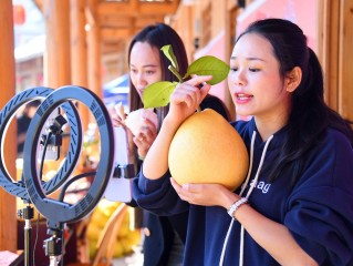 怎么申请直播带货,直播带货的营业执照怎么办理
