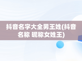 抖音名字大全男王姓(抖音名称 昵称女姓王)