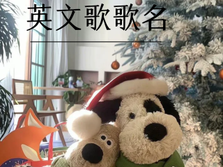 最火的十首歌2024,最火的十首bgm2025