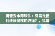 抖音去水印软件：究竟是便利还是侵权的边缘？，抖音去水印软件app 