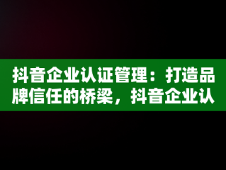 抖音企业认证管理：打造品牌信任的桥梁，抖音企业认证功能 