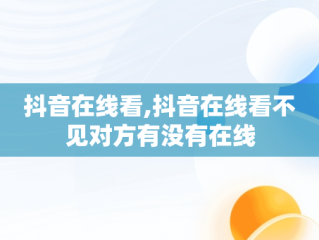 抖音在线看,抖音在线看不见对方有没有在线