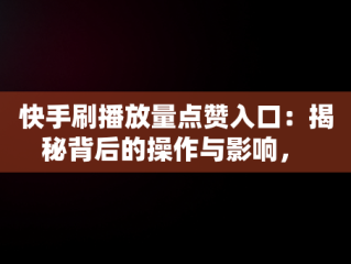 快手刷播放量点赞入口：揭秘背后的操作与影响， 
