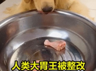 网红提子吃鲨鱼事件简介,网红提子吃鲨鱼百度网盘